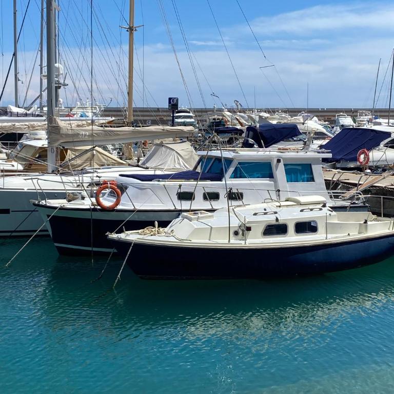 Aloha Jak's Boat - Appartamento Superior con 1 Camera da Letto e Balcone - 37
