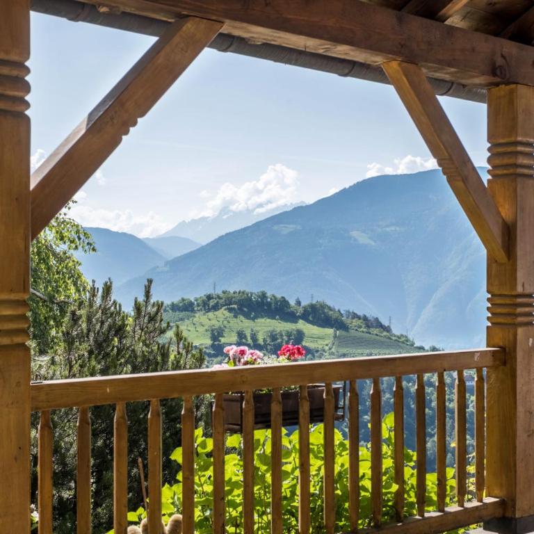 Weingartnerhof Dalia - Apartamento Superior de 1 dormitorio con balcón - 19
