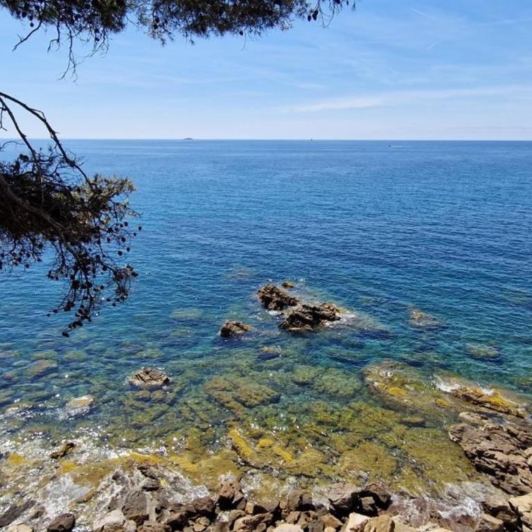 Côte d'Azur - Résidence Cap Soleil - Estudio con vistas a las montañas - 28