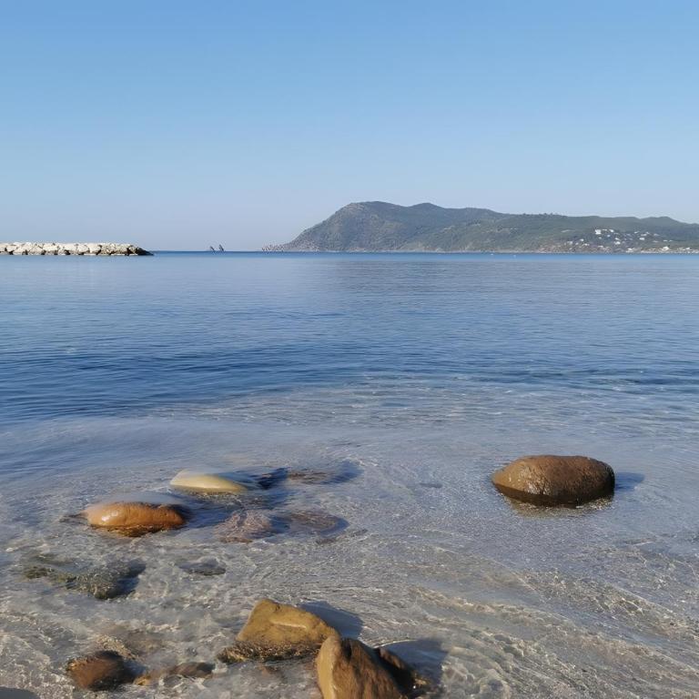 Côte d'Azur - Résidence Cap Soleil - Estudio con vistas a las montañas - 26