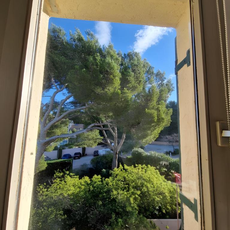 Côte d'Azur - Résidence Cap Soleil - Estudio con vistas a las montañas - 12