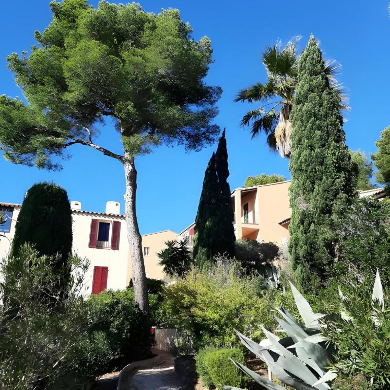 Côte d'Azur - Résidence Cap Soleil - Estudio con vistas a las montañas - 17