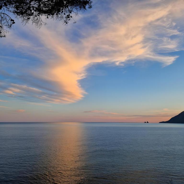 Côte d'Azur - Résidence Cap Soleil - Estudio con vistas a las montañas - 29