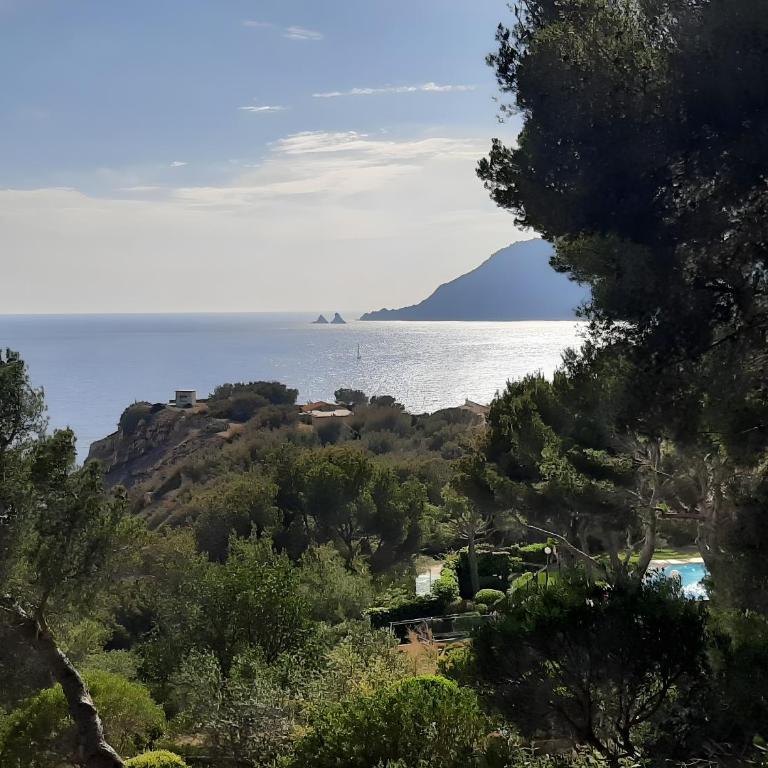 Côte d'Azur - Résidence Cap Soleil - Estudio con vistas a las montañas - 18