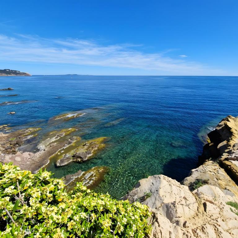 Côte d'Azur - Résidence Cap Soleil - Estudio con vistas a las montañas - 23