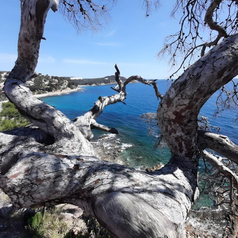Côte d'Azur - Résidence Cap Soleil - Estudio con vistas a las montañas - 25