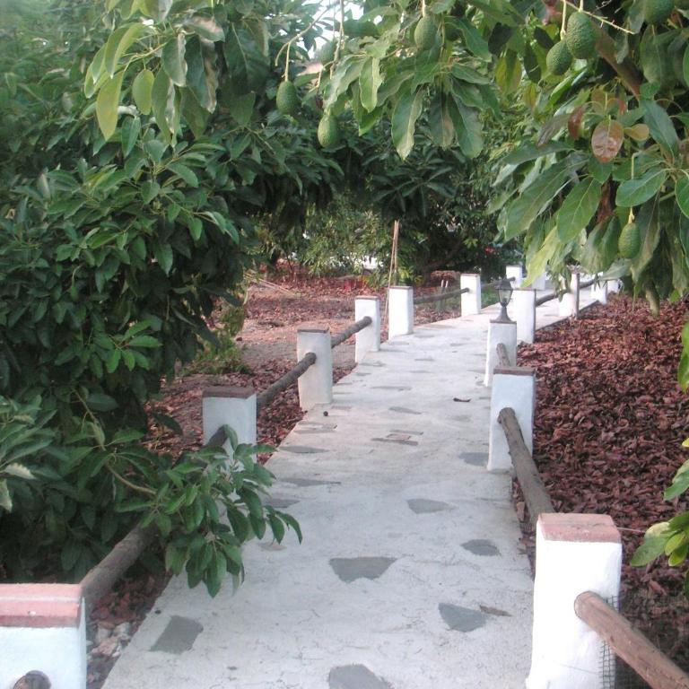 El Olivarillo - Casa de 3 dormitorios - 2