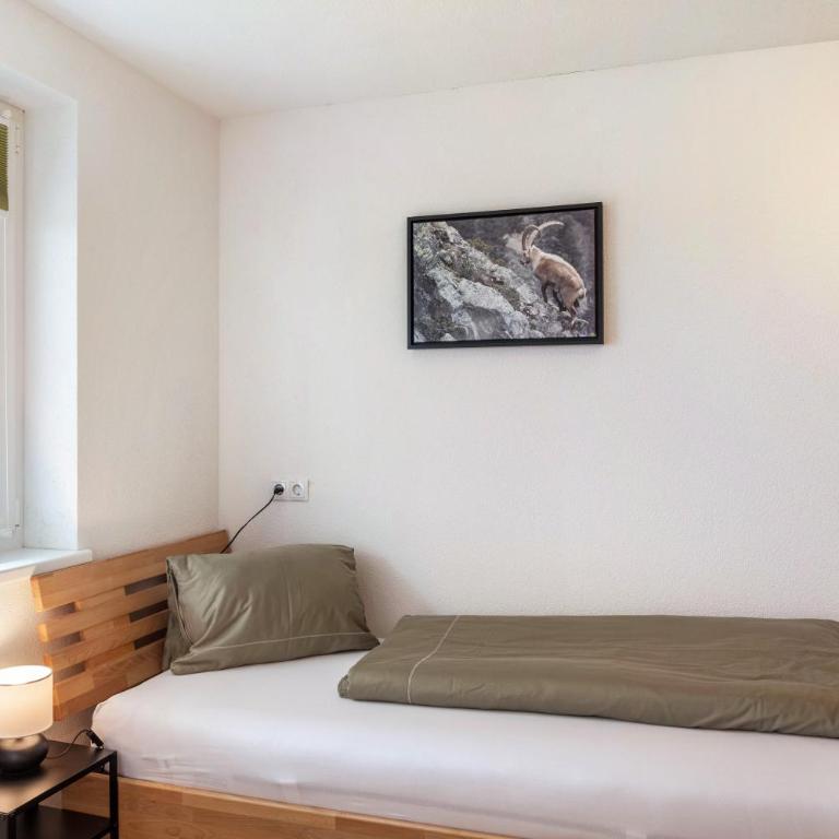 Haus Florian Ski-in and Ski-out - Deluxe-Apartment mit 2 Schlafzimmern und Gartenblick - 14