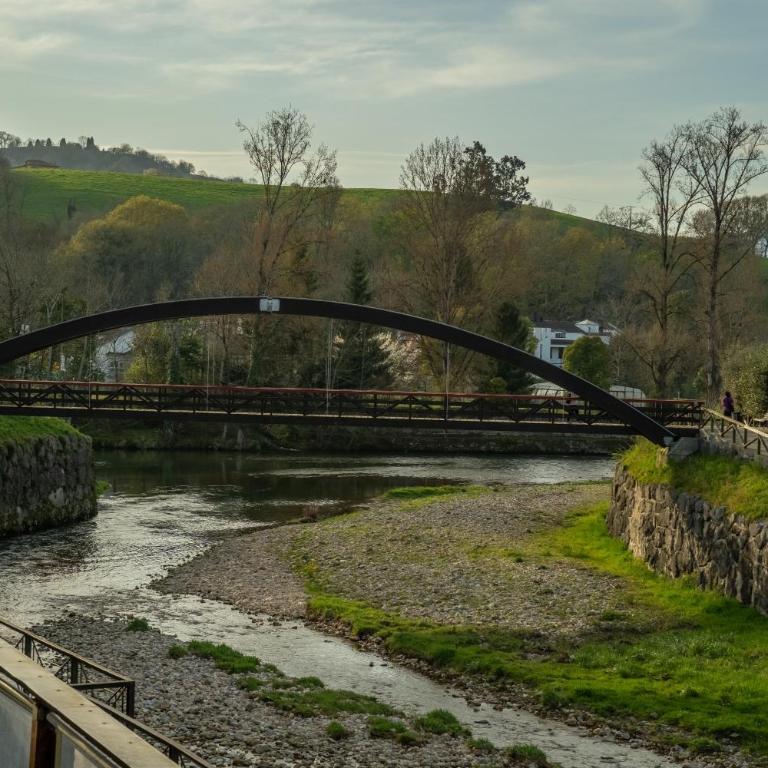 'Salmosalar' Cangas de Onís - Apartamento Deluxe de 2 dormitorios con vistas al jardín - 26
