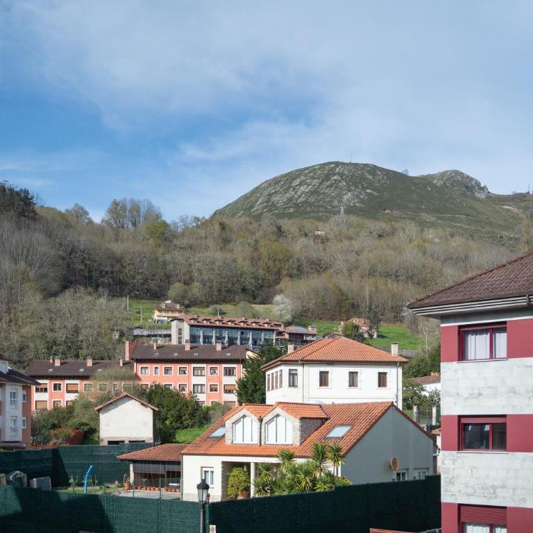'Salmosalar' Cangas de Onís - Apartamento Deluxe de 2 dormitorios con vistas al jardín - 28