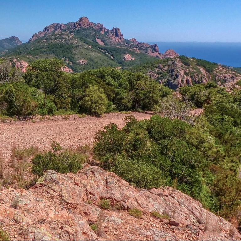 R1G-120 m plage-2 ch-jardin - Appartement 2 Chambres - 49