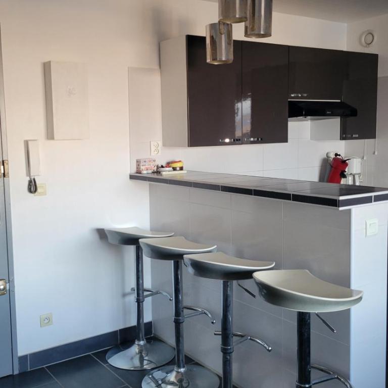 Grand studio avec ascenseur, parking et terrasse - Estudio con sofá cama - 3