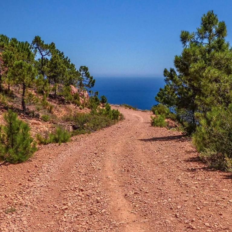 R1D Les Pléiades de l'Estérel - Agay - Appartement 2 Chambres - 47