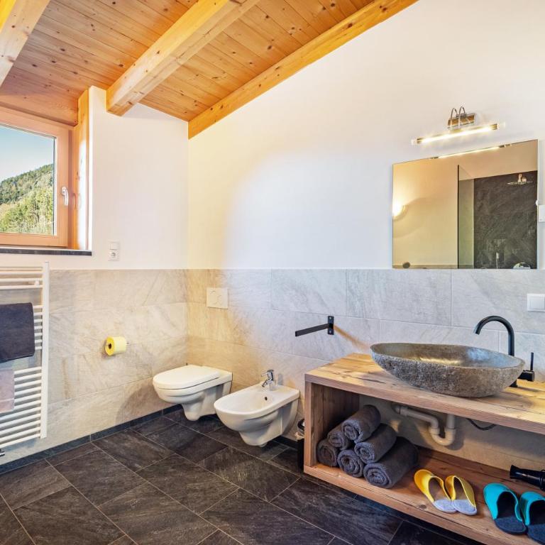 Kreuzplonhof Apt Karspitz - Superior One-Bedroom Apartment with Balcony - 16