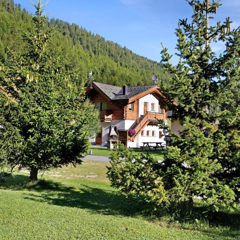 Botton d'oro Camping Stella Alpina - Appartamento Deluxe con 2 Camere da Letto e Vista Giardino - 22