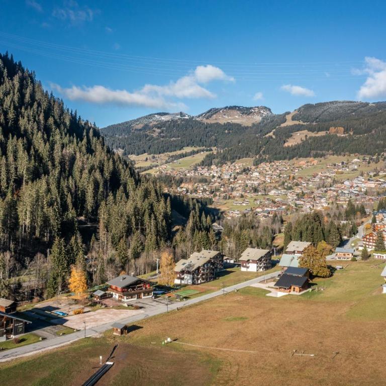 Studio Chatel - Au pieds du Linga - Studio - Vue sur Montagne - 18