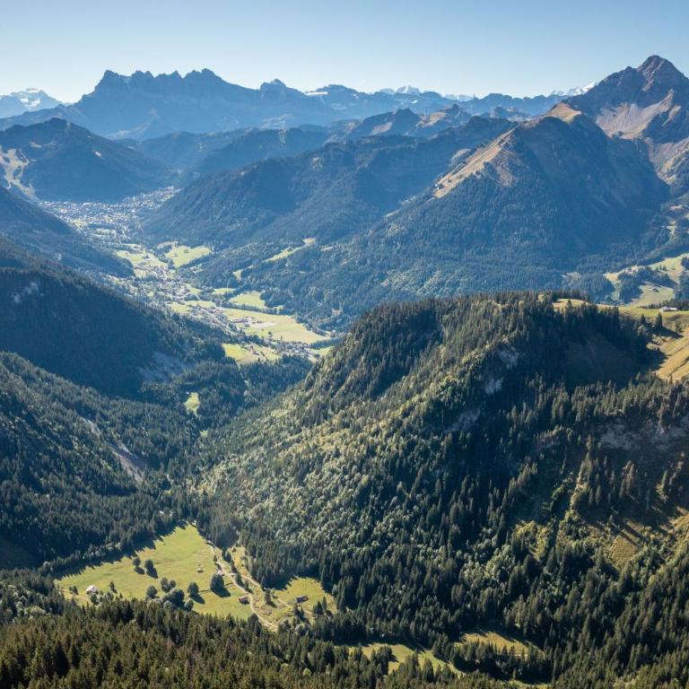 Studio Chatel - Au pieds du Linga - Studio - Vue sur Montagne - 19