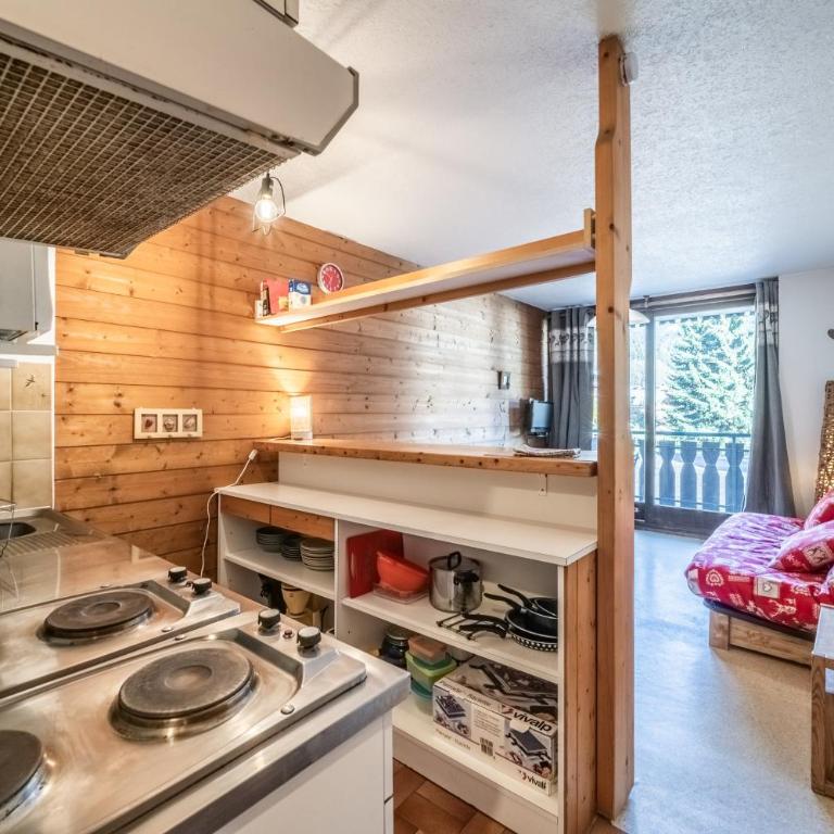 Studio Chatel - Au pieds du Linga - Studio - Vue sur Montagne - 11