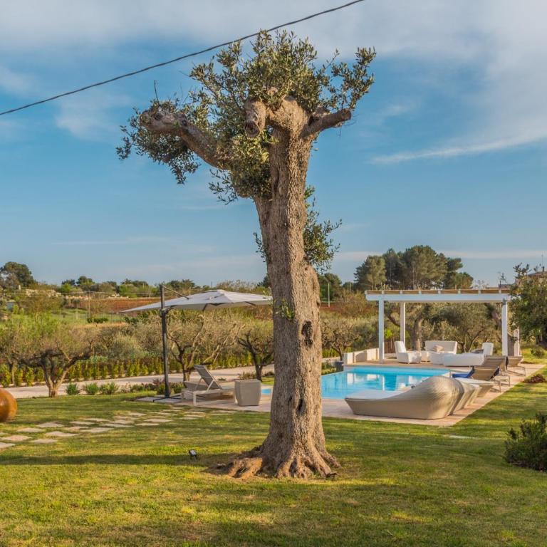 Trulli Terralunga - Casa con 3 Camere da Letto - 4