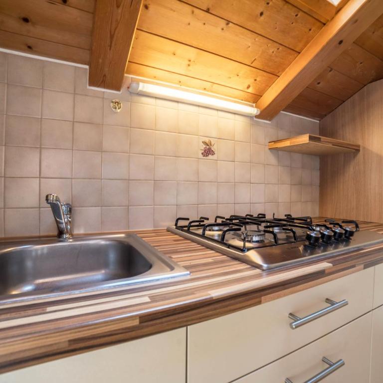 Pixnerhof - Topaz - Appartamento Deluxe con 2 Camere da Letto e Vista Giardino - 14