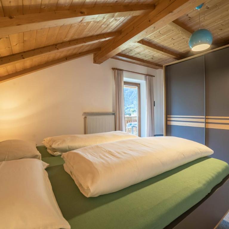 Pixnerhof - Topaz - Appartamento Deluxe con 2 Camere da Letto e Vista Giardino - 5