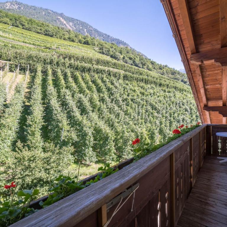 Pixnerhof - Topaz - Appartamento Deluxe con 2 Camere da Letto e Vista Giardino - 13