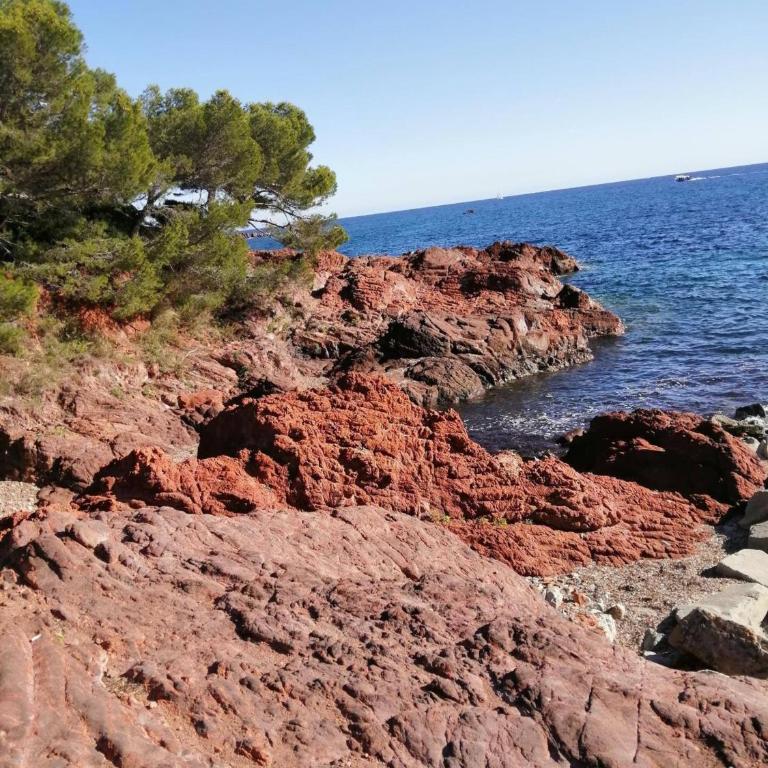 Maison de vacance - Frejus - Maison 1 Chambre - 7
