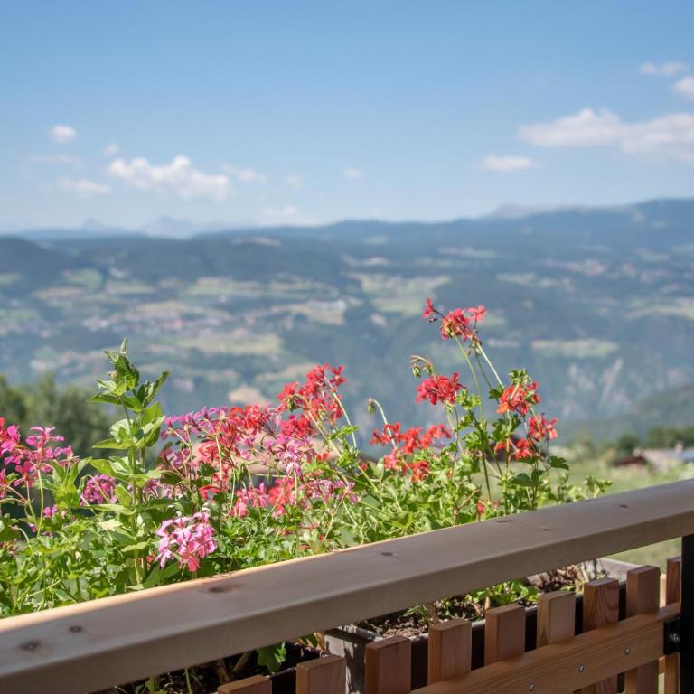 Furnerhof Apt Stearnzauber - Two-Bedroom Deluxe Apartment with Garden View - 13