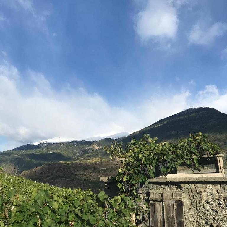 Appartamenti Grivola - Appartamento Superior con 1 Camera da Letto e Balcone - 5