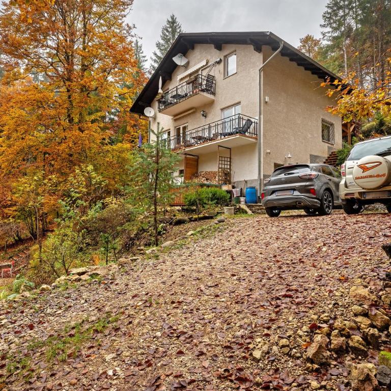 Ferien bei Waltraud Weiss - Apartamento Deluxe de 2 dormitorios con vistas al jardín - 34