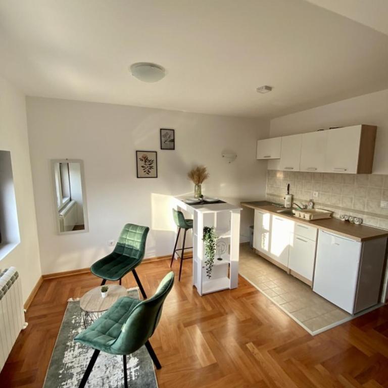 Bellevue - Vracar, Belgrade - Apartman sa 1 Spavaćom Sobom - 1