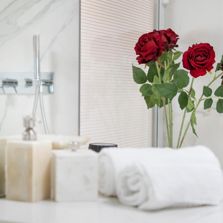 Luxury Rooftop Piazza Erbe Verona - Appartamento con doccia - 20