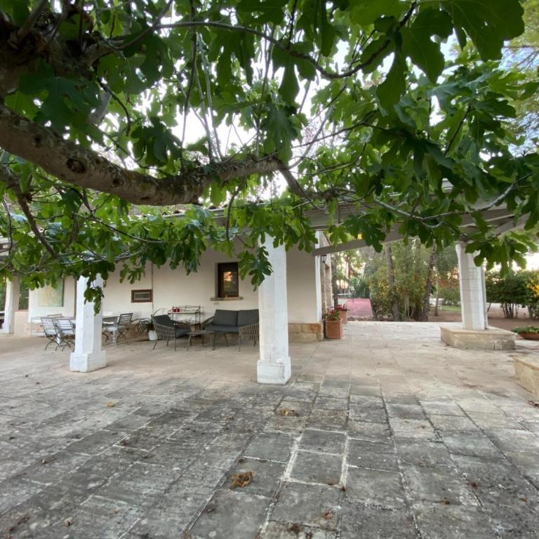 Villa Riggia - Appartamento Deluxe con 2 Camere da Letto e Vista Giardino - 16