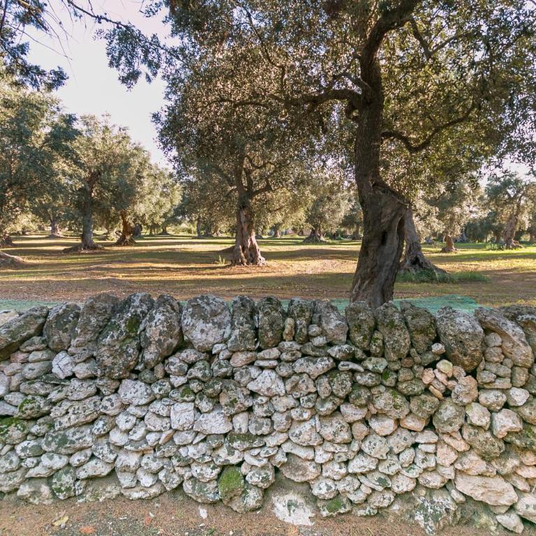 Villa Riggia - Appartamento Deluxe con 2 Camere da Letto e Vista Giardino - 24