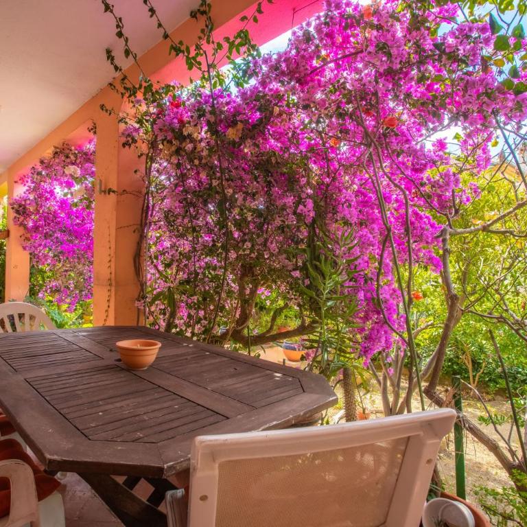 Appartement avec clim et terrasse - Appartamento Deluxe con 2 Camere da Letto e Vista Giardino - 19