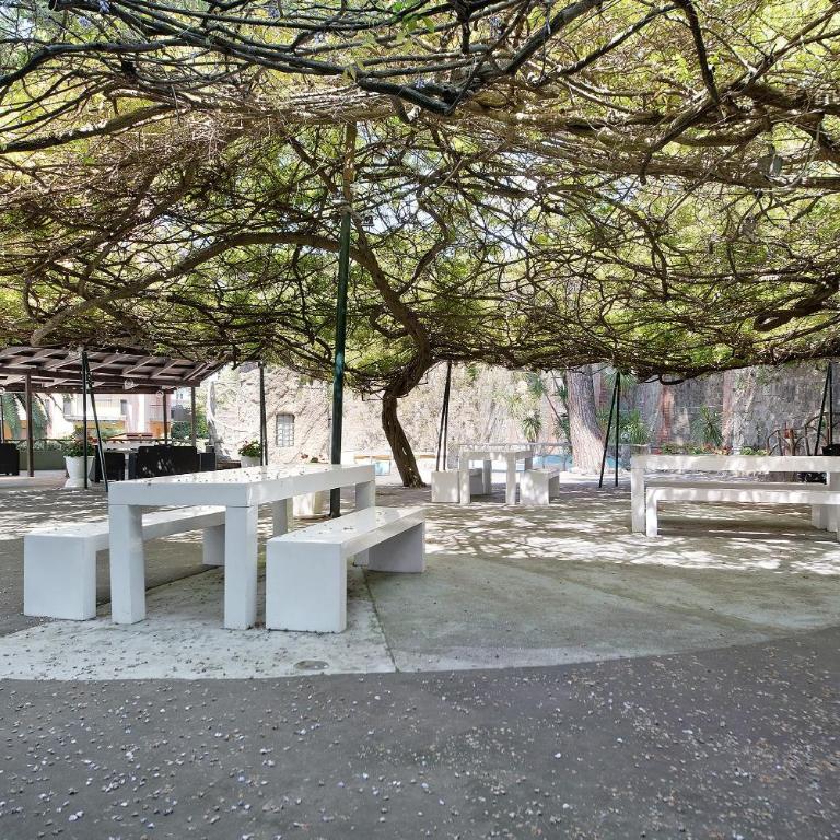 Appartamento Bilocale Moneglia 31 - Appartamento Superior con Vista Città - 24