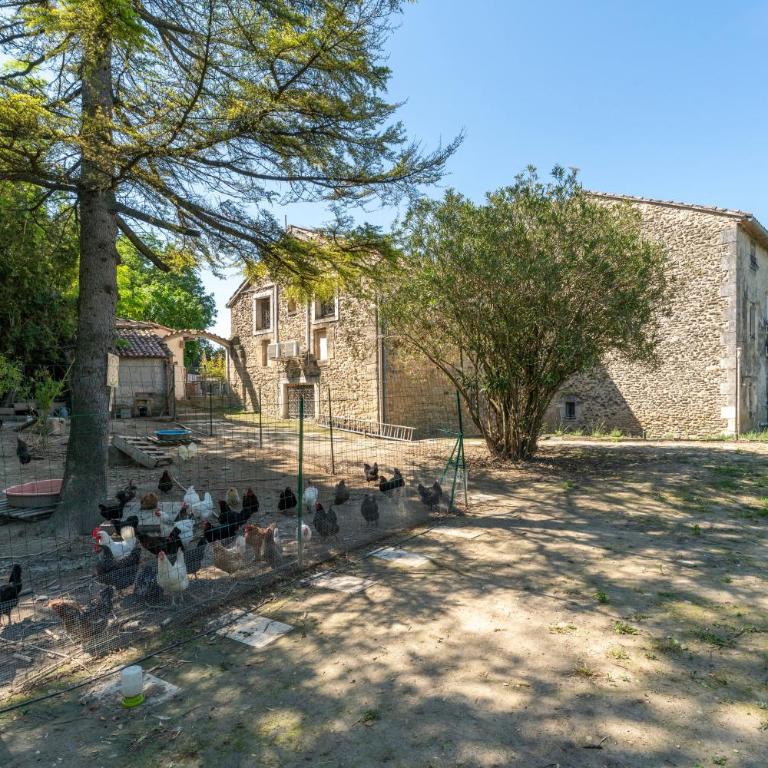 Gite en Campagne Valentin - Appartement 1 Chambre - Vue sur Jardin - 21