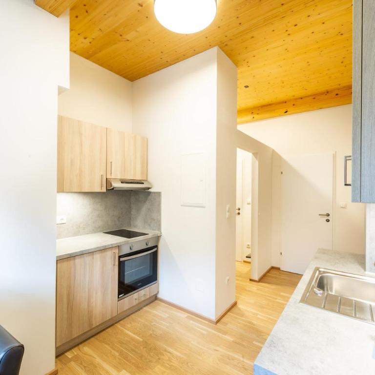 Apartmenthaus Pastner am Teich - Apartment mit 1 Schlafzimmer - 10