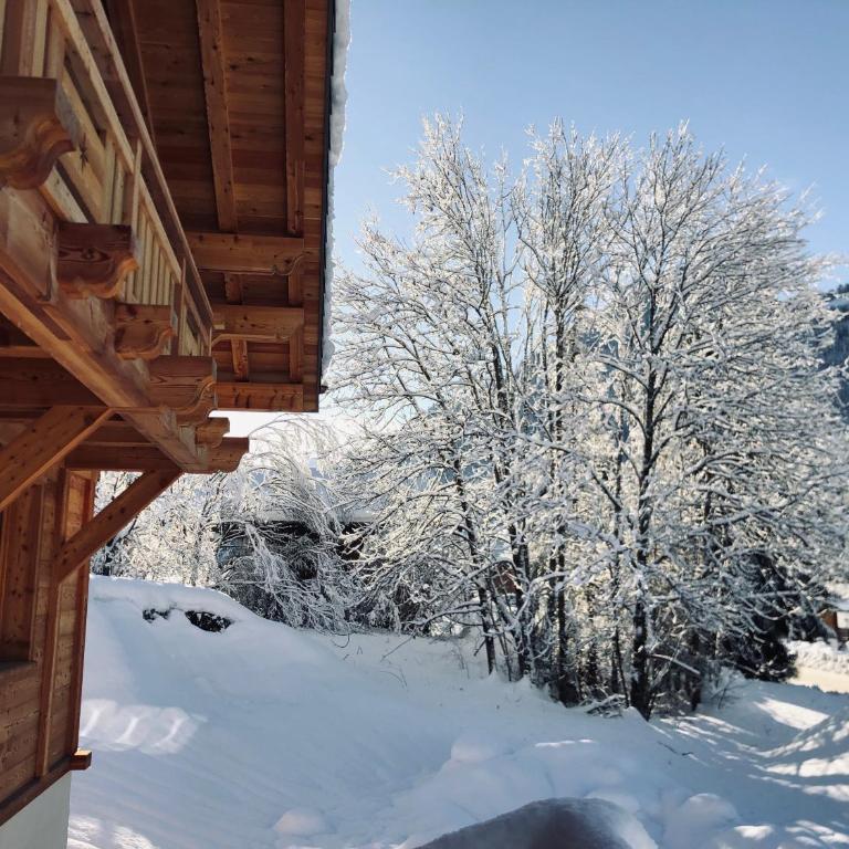 Chalet Robert Folliet - 15p - Chalet - 41