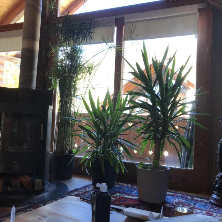 Landrosace - Maison de Vacances - 24