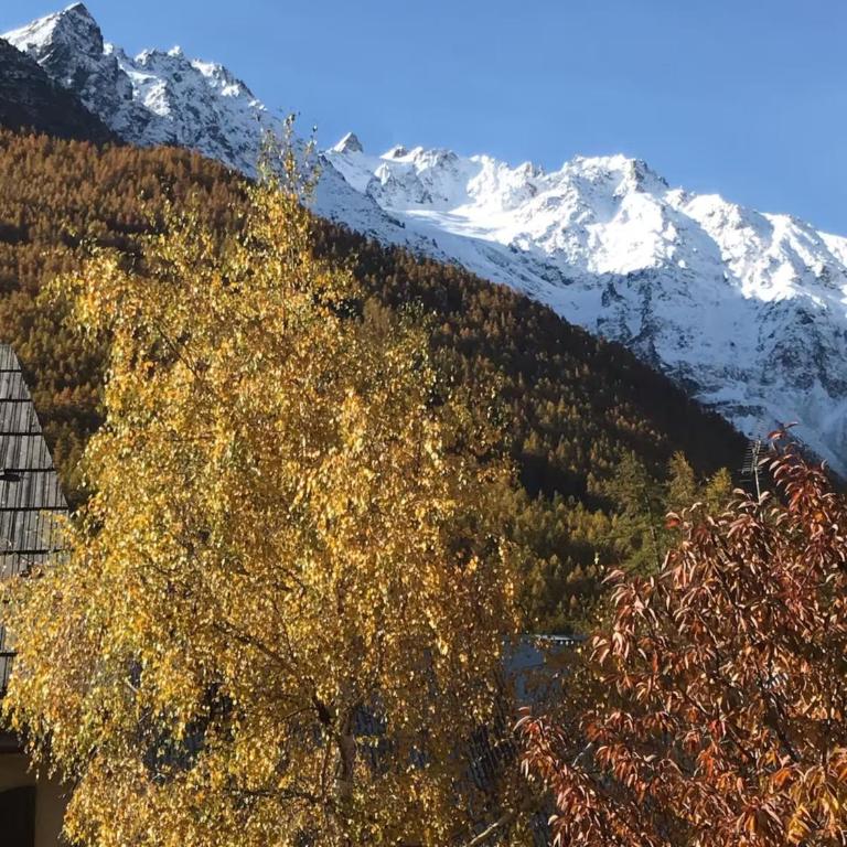 Landrosace - Maison de Vacances - 40