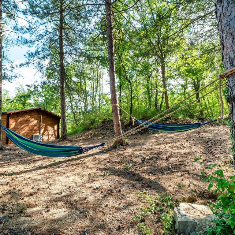 La casetta nel bosco - Appartamento con 1 Camera da Letto e con Giardino - 1