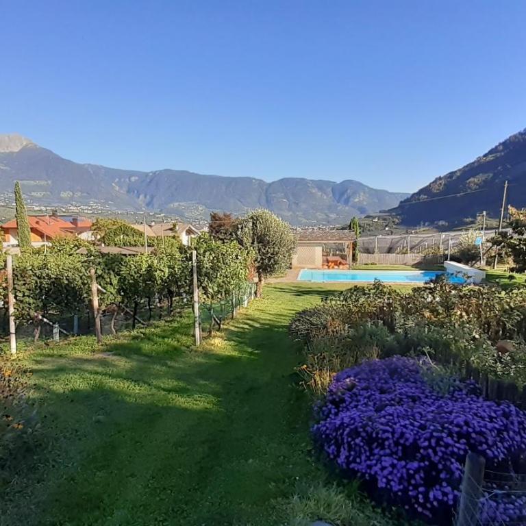 Fröhlichhof Wohnung Panorama - Two-Bedroom Deluxe Apartment with Garden View - 5