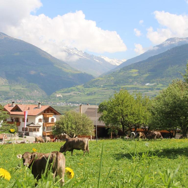 Hof am Schloss Apartement Zirm - Appartamento Premium con 3 Camere da Letto e Balcone - 19