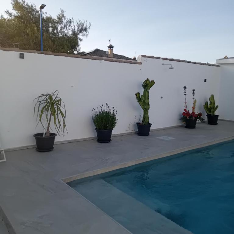 El Olivo - Casa de 2 dormitorios - 27