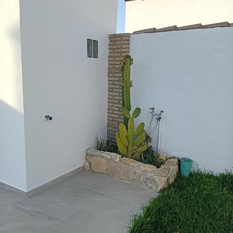 El Olivo - Casa de 2 dormitorios - 22
