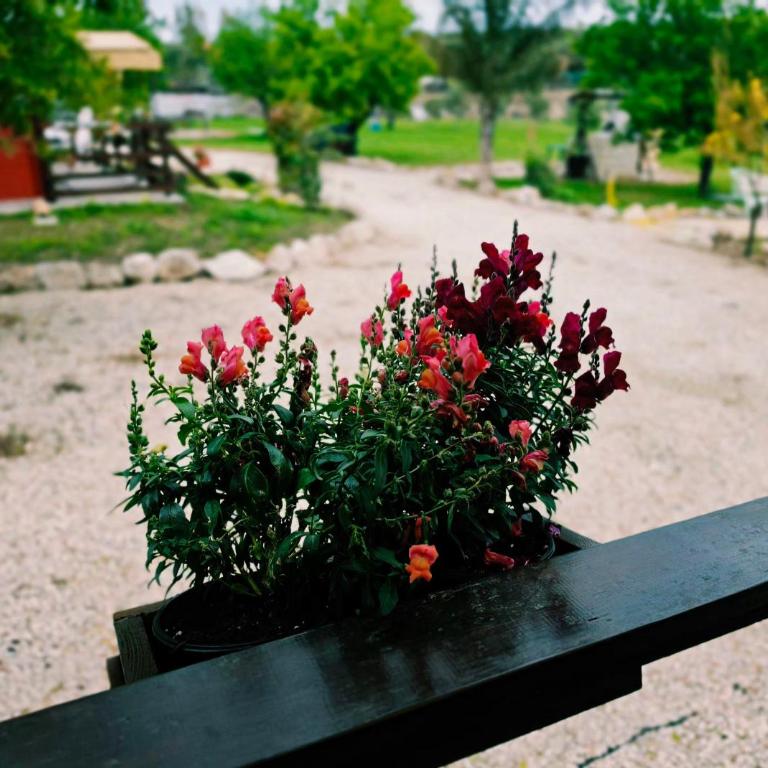 Feudo Mallav B&B Noto - Roulotte - Casa Vacanze - 22