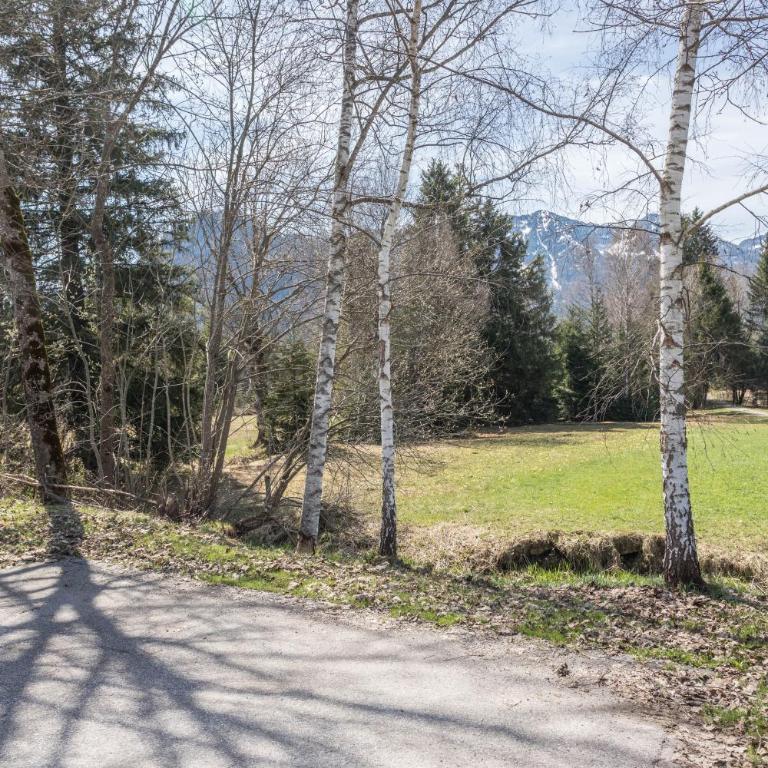 Alpenauszeit im Zirbenholz Chalet - Studio mit Schlafsofa - 20