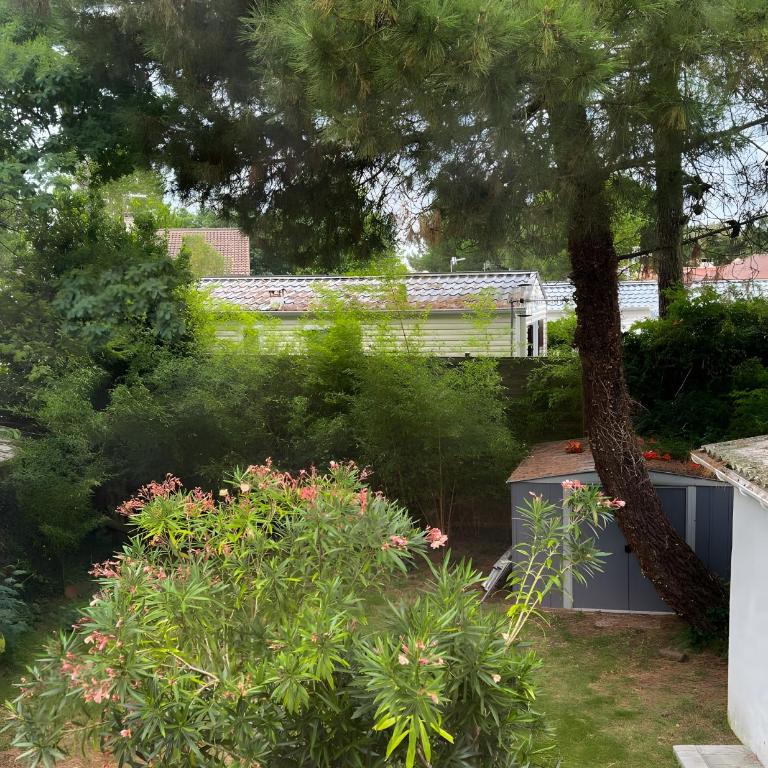 La Maison Des Marées - Ref 1007 - Vacation Home - 19