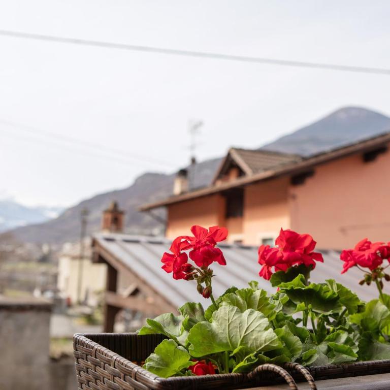 Petite Maison Tillier - Camera Matrimoniale/Doppia con Letti Singoli con Doccia - 2